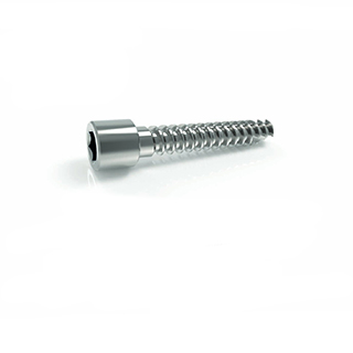 Locking Bolt Screw 3.9mm