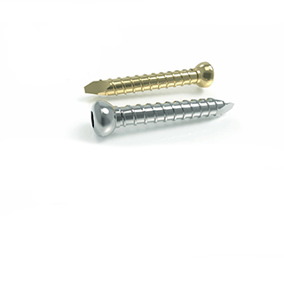 Locking Bolt Screw 4.9 mm