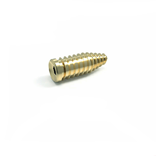 Interference Screw 7.0 mm 