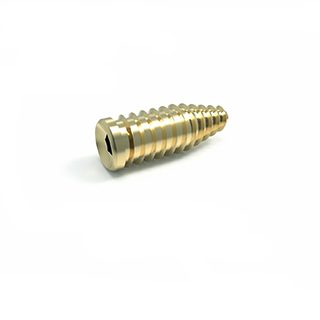 Interference Screw 8.0 mm