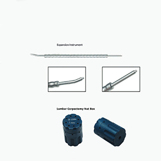 Lumbar Corpectomy Cage Instruments Set